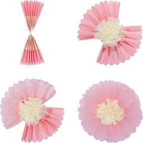 img 1 attached to 🌸 Fonder Mols Pink Paper Flowers: Stunning Tissue Pom Poms for Girl Baby Shower, Nursery Decor, Birthday Party (9pcs)