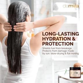 img 2 attached to 🌿 Damila Keratin Hair Mask: Deep Conditioning Treatment for Dry, Damaged Hair - Curly & Frizzy Hair Repair with Frizz Removal, Split End Restoration and Silkiness Enhancement - 16.9 Fl. Oz