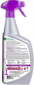 img 3 attached to Professional Strength Bio-Enzymatic Stain Cleaner - Rejuvenate Carpet & Upholstery Spot Remover 🐾 for Pet Stains, Urine, and Odor - Ready-to-Use Formula - Dog and Cat Urine Remover