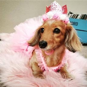 img 1 attached to 🎉 Rimobul Шляпка для дня рождения My Girl Pet's Fancy Crown с цифрами от 0 до 9: Празднуйте с стилем!