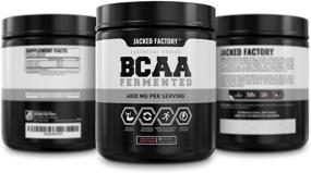 img 1 attached to 🍹 Пудра BCAA с вкусом фруктового пунша (ферментированная) - 6 г сухой аминокислотный комплекс, 30 порций - усиливает восстановление мышц, снижает усталость, повышает силу, способствует росту мышц.