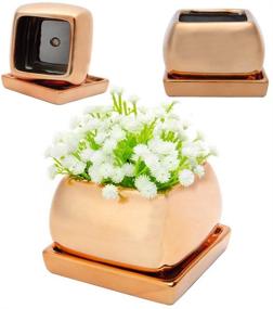 img 1 attached to 🌿 Copper Square Planters with Drainage Hole and Tray - Ideal for House Plants, Cactus, Flowers or Herbs - KRALIX Small Ceramic Set of Three