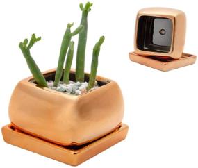 img 2 attached to 🌿 Copper Square Planters with Drainage Hole and Tray - Ideal for House Plants, Cactus, Flowers or Herbs - KRALIX Small Ceramic Set of Three