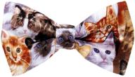 pbtn 208 cats pre tied bow logo