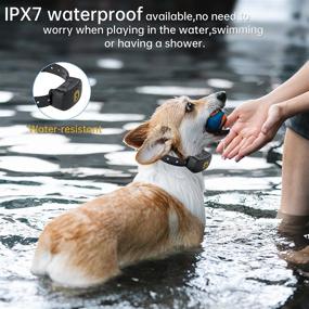 img 3 attached to 🐶 Pedono IPX7 Waterproof Dog Shock Collar - Electronic Rechargeable Training Collar with Beep, Vibration, and Shock, 1200ft Remote Range, Adjustable Belt - Ideal for Dogs (with Remote)