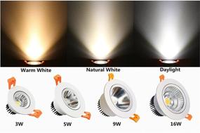 img 2 attached to 💡 LightingWill Downlight Directional: 4000K 4500K Equivalent - Illuminating Your Space with Versatile Precision