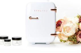 img 3 attached to 🌸 StylPro Rose Gold Mini Beauty Fridge (4L/6-Can): Portable Cooler and Warmer for Skincare, Nail Polish, Serums, Creams, Moisturizers, Toners, Sunscreen, and Home Items