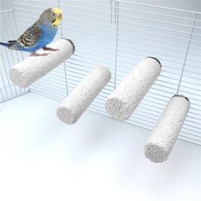 img 4 attached to 🦜 Enhance Your Bird's Habitat with Alfie Pet Korey Mineral Perch 4-Piece Set