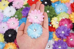 img 3 attached to Daisy Flowers 2 Small Flowers Projects: Simplified Floral Crafts for Beginners
