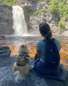 img 2 attached to 🐾 BoxDog Matching Dog and Human Backpack Set: Ideal Canvas and Leather Travel Gear for Camping, Hiking, and Dog Park Adventures