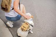 🐾 boxdog matching dog and human backpack set: ideal canvas and leather travel gear for camping, hiking, and dog park adventures logo