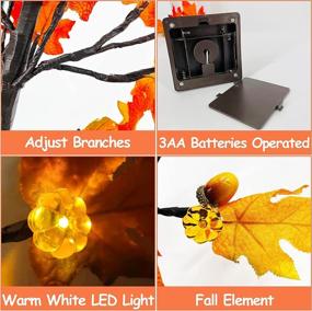 img 2 attached to 🍁 2 Pack 18 Inch Prelit Fall Maple Tree with 48 LEDs, Timer Battery Operated Lighted Pumpkins, 6 Acorns - Tabletop Artificial Autumn/Fall Tree Decoration for Thanksgiving Harvest Home Indoors