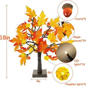 img 3 attached to 🍁 2 Pack 18 Inch Prelit Fall Maple Tree with 48 LEDs, Timer Battery Operated Lighted Pumpkins, 6 Acorns - Tabletop Artificial Autumn/Fall Tree Decoration for Thanksgiving Harvest Home Indoors