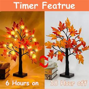 img 1 attached to 🍁 2 Pack 18 Inch Prelit Fall Maple Tree with 48 LEDs, Timer Battery Operated Lighted Pumpkins, 6 Acorns - Tabletop Artificial Autumn/Fall Tree Decoration for Thanksgiving Harvest Home Indoors