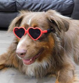 img 1 attached to Eye-Catching G012 Red Heart Shape Sunglasses for Medium Breeds 20lb-40lbs - Dog Pet Costume Prop