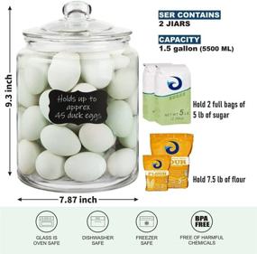 img 3 attached to Set of 2 Daitouge 1.5 Gallon Glass Storage Jars with Lids - Heavy Duty Glass Canisters for Home & Kitchen