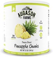 🍍 12 oz no. 10 can of augason farms freeze dried pineapple chunks for improved seo логотип