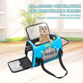 img 2 attached to 🐾 Hillstar Pet Carrier Airline Approved: Foldable Soft-Sided Dog Carrier, Portable Travel Carrier for Cats, Dogs, Rabbits – Safe and Convenient