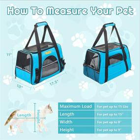 img 3 attached to 🐾 Hillstar Pet Carrier Airline Approved: Foldable Soft-Sided Dog Carrier, Portable Travel Carrier for Cats, Dogs, Rabbits – Safe and Convenient