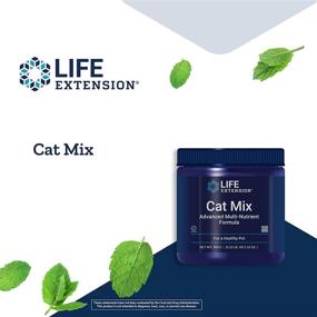 img 2 attached to 🐱 Optimal Kitty Nutrient Blend – Life Extension Cat Mix – Gluten-Free, Non-GMO – Net Weight: 100 Grams (85 Servings)