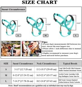 img 2 attached to Barkless Collar Reflective Training Turquoise