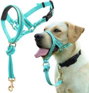 barkless collar reflective training turquoise logo