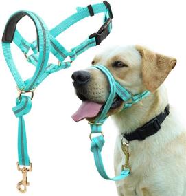 img 4 attached to Barkless Collar Reflective Training Turquoise