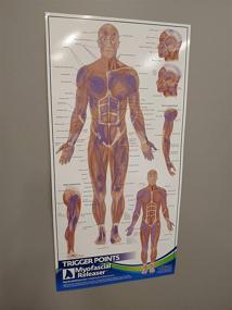 img 1 attached to 📚 Trigger Point Anatomy Map: Essential Wall Poster for Massage Therapists, Physical Therapists, Chiropractors & Trainers - Precise Pressure Points and Referred Pain Guide