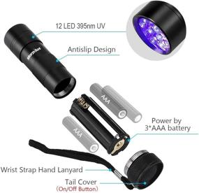 img 2 attached to 🔦 Ultimate Stain & Pet Urine Detector: morpilot Black Light Flashlights - 2 Pcs UV Handheld Blacklight 12 Led 395nm Mini Torch