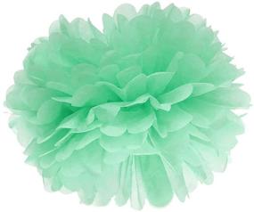 img 2 attached to 🎉 Furuix Mint Green Peach Cream Tissue Paper Honeycomb Balls & Pom Pom Decorations | Ideal for Baby Shower, Bridal Shower, Birthday, Wedding & Party Decor | Wall Hanging & Room Decoration