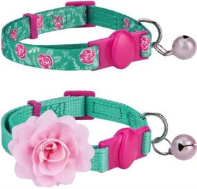 img 2 attached to 🐱 Enhance Safety and Style with Blueberry Pet's All-in-One Breakaway Cat Collars – Now with Personalization!