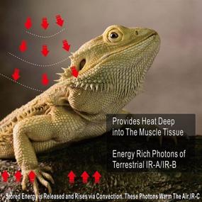 img 1 attached to 🔥 100W Deep Heat Projector Reptile Heat Lamp: Basking Light for Bearded Dragon, Leopard Gecko, and Amphibian Pets - Carbon Infrared Heater