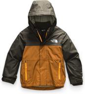 одежда north face snowquest triclimate paradise для мальчиков. логотип