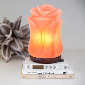 img 1 attached to 🌸 100% Natural Himalayan Salt Lamp - Hand Carved Rose Pink Crystal Rock Salt from Himalayan Mountains, 8 lbs - UL-Listed Dimmer Cord Included