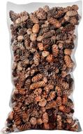 🌲 enhance your décor with supermoss black spruce pine cones - 19-ounce natural brown option! logo