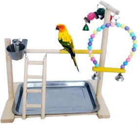 img 4 attached to Enhance Your Bird's Health and Happiness with the Tfwadmx Parrot Playground Bird Exercise Gym Playstand