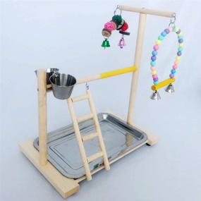 img 3 attached to Enhance Your Bird's Health and Happiness with the Tfwadmx Parrot Playground Bird Exercise Gym Playstand