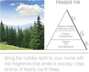 img 1 attached to 🌲 Acqua Aroma Fraser Fir Room Spray - 6.8 FL OZ (200mL) Frasier Fir Scent for Christmas