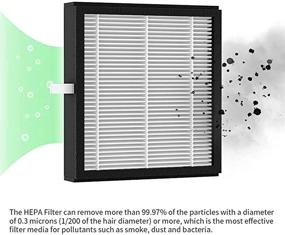 img 4 attached to 🔄 Afloia H13 HEPA Filter Replacement for Q8 Air Purifier and Dehumidifier Combo