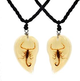 img 4 attached to 🦗 Insect & Scorpions Necklace with FOTTCZ Pendant - Enhance your style with this unique insect and scorpion pendant necklace