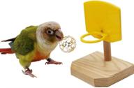 🐦 qbleev bird toys set: tabletop trick toys, training basketball stacking color ring toys, parrot chew ball foraging toys, educational play gym playground foot toys for cage activities logo