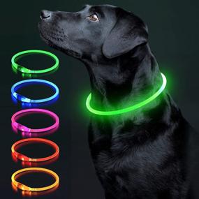 img 4 attached to Brilliant LED Dog Collar: Waterproof, USB Rechargeable, Glow Safety Collar for Dogs - 1 Count