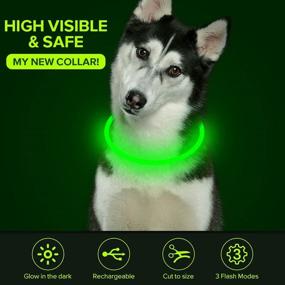 img 2 attached to Brilliant LED Dog Collar: Waterproof, USB Rechargeable, Glow Safety Collar for Dogs - 1 Count