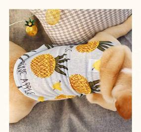 img 1 attached to 🌺 Dr.NONO Dog Clothes: Sun Protection Summer T-Shirt for Small Dogs - Hawaiian Holiday Apparel