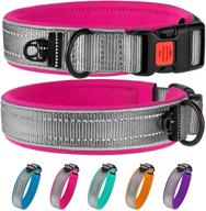 🐶 bronzedog reflective nylon soft padded dog collars in mint, pink, blue, orange, and purple for medium to large dogs logo