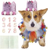 🐶 cute dog birthday collar pet tutu costume with funny pet birthday hat – ideal for cat, puppy party supplies логотип