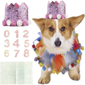 img 4 attached to 🐶 Cute Dog Birthday Collar Pet Tutu Costume with Funny Pet Birthday Hat – Ideal for Cat, Puppy Party Supplies