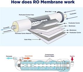 img 2 attached to 🔌 Enhance Filtration Efficiency with Alberts Filter Membrane Replacement Connector