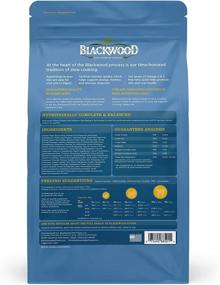 img 3 attached to 🐱 Premium Blackwood Kitten Food: Chicken Meal & Brown Rice Recipe - Nourish Your Feline Friend