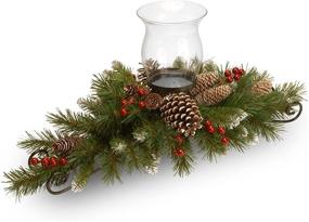img 1 attached to 🎄 Enhance Your Décor with the National Tree 30 Inch Frosted Berry Centerpiece: Includes Candle Holder & Glass Hurricane (FRB3-800-30C-A3)